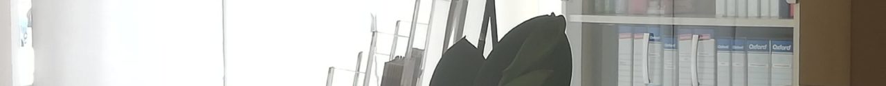 Studio Paola Fantini